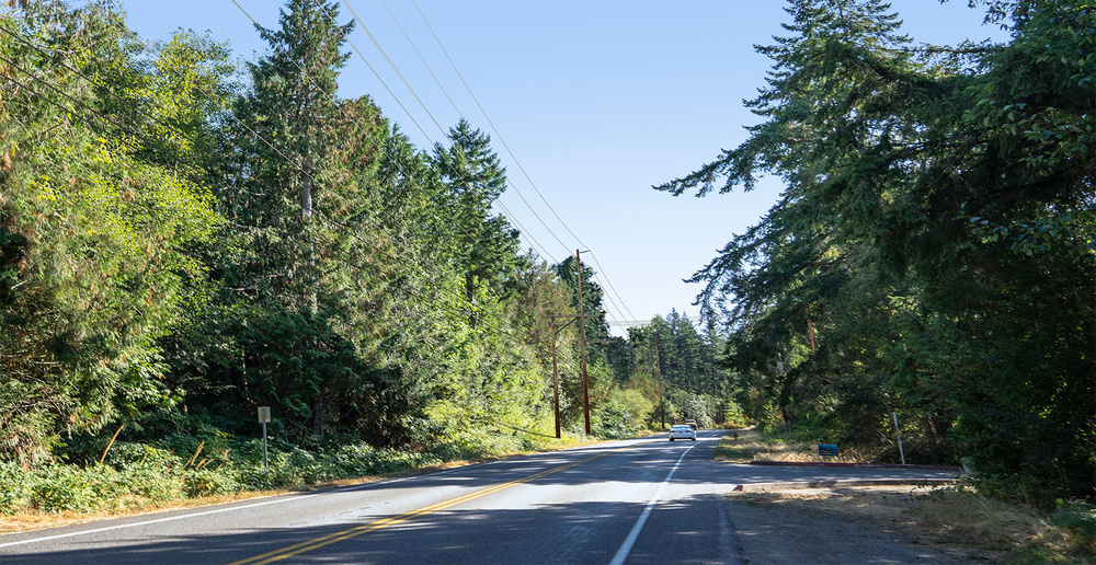 Photo simulation of transmission line poles with collocated distribution lines on Sportsman Club Road.