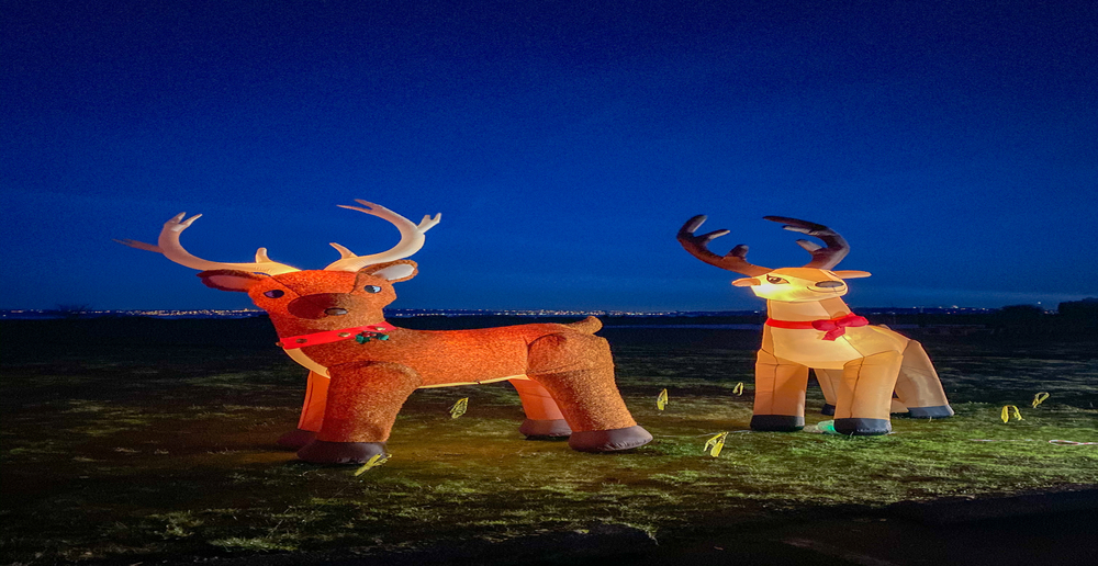 Two inflatable reindeer standing on lawn.